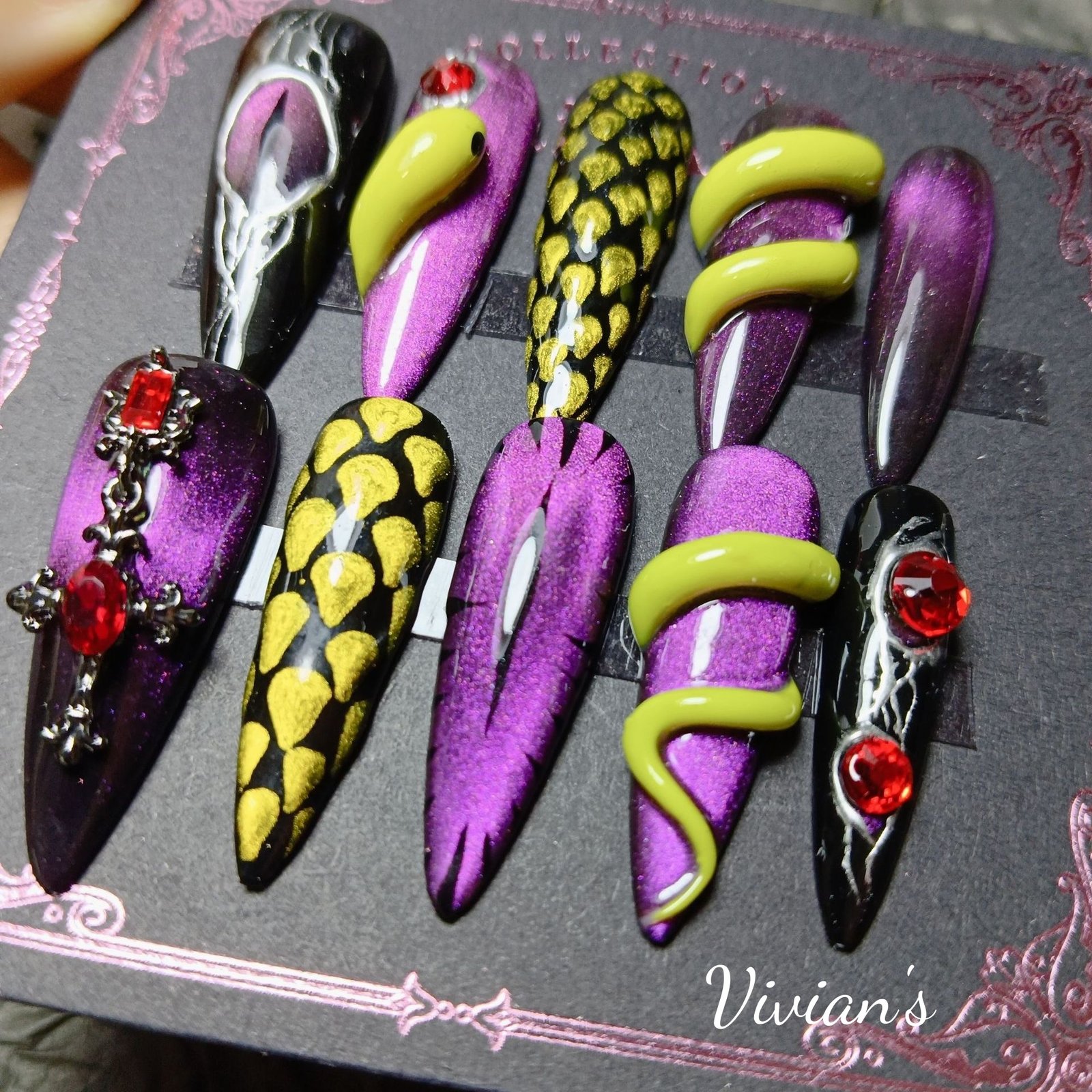 029 Cat's Eye Snake - Image 5